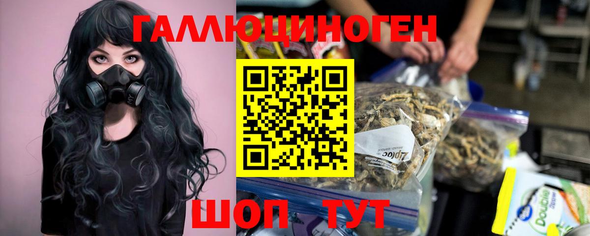 Чистополь  Псилоцибиновые грибы Cubensis  продажа наркотиков  Вход с VPN  Галлюциногенные грибы Psilocybe 
